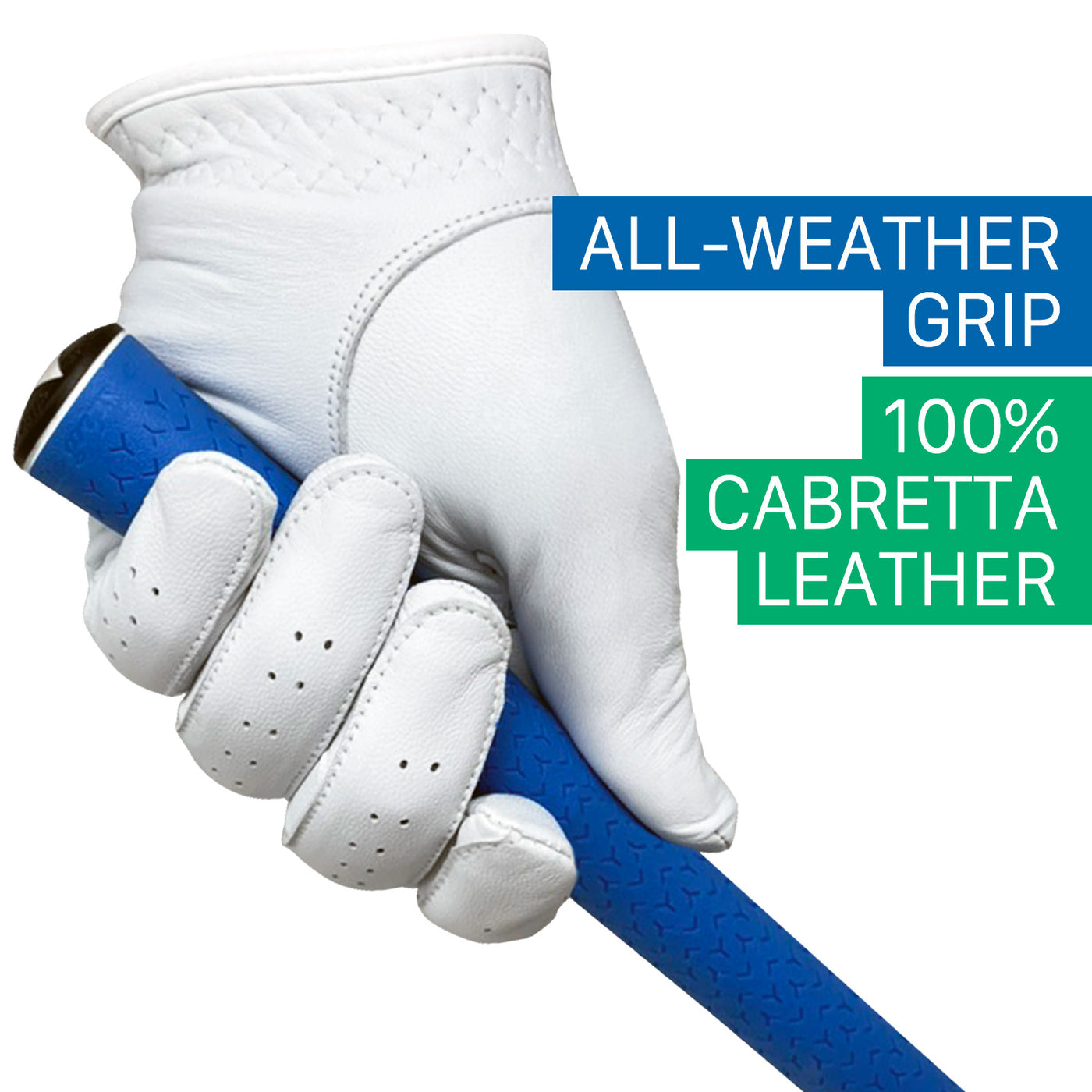 Diawings Pro-Experience Cabretta Leather Golf Gloves 2 in 1 Value Pack